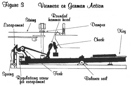 Viennese or German Action